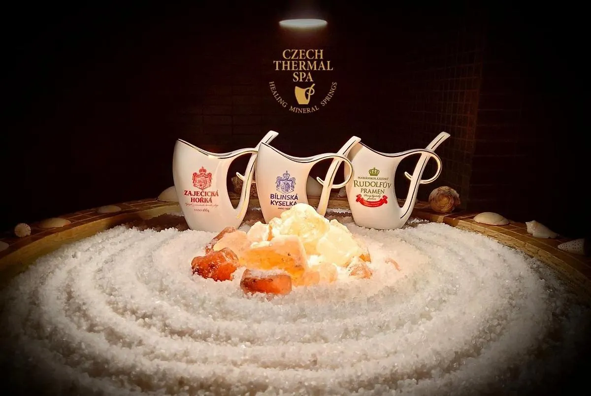 ****  Grand Relax Spa & Wellness & Beer Spa & Thermal Spa In Hotel Meteor Plaza Prague - Since 1307 Czech Republic